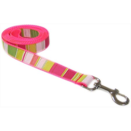 FlyFree 4 ft. Multi Stripe Dog Leash44; Neon Pink - Extra Small